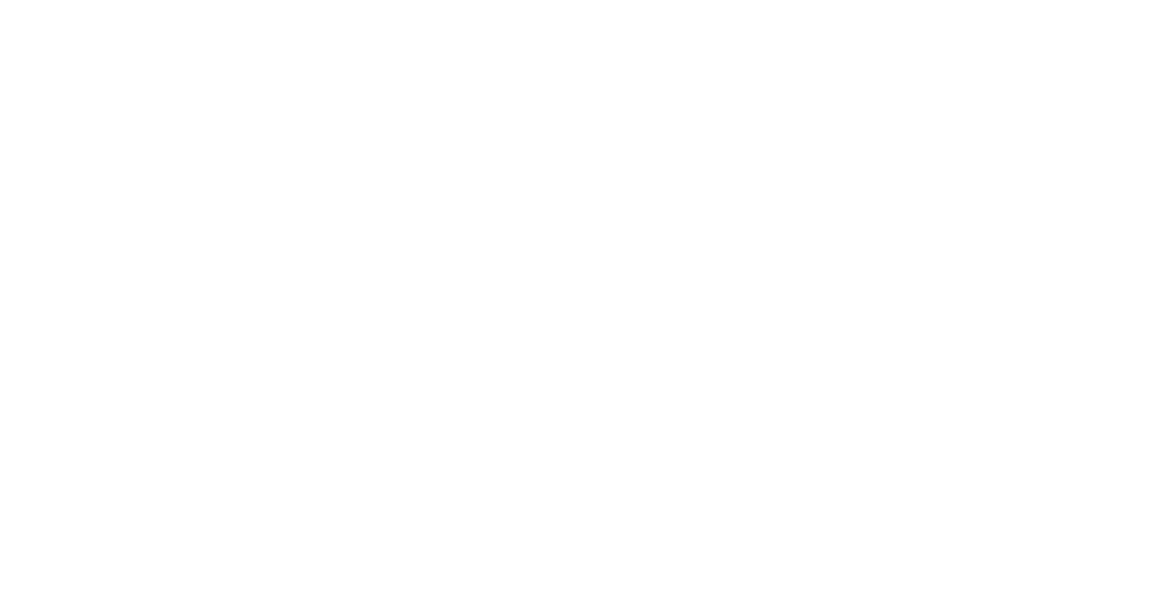 Delistar Trailer Logo - valkoinen